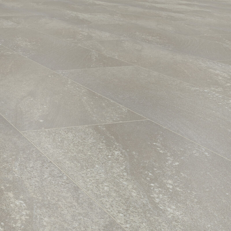 ST03 Fossil Limestone Close-Up