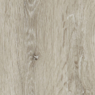 Sun Bleached Wood Plank